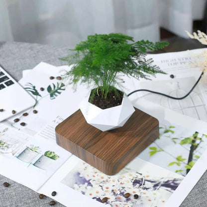 Aeroform – Levitating Planter